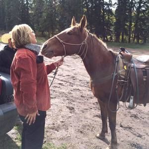 Meet your Posher, Stephen